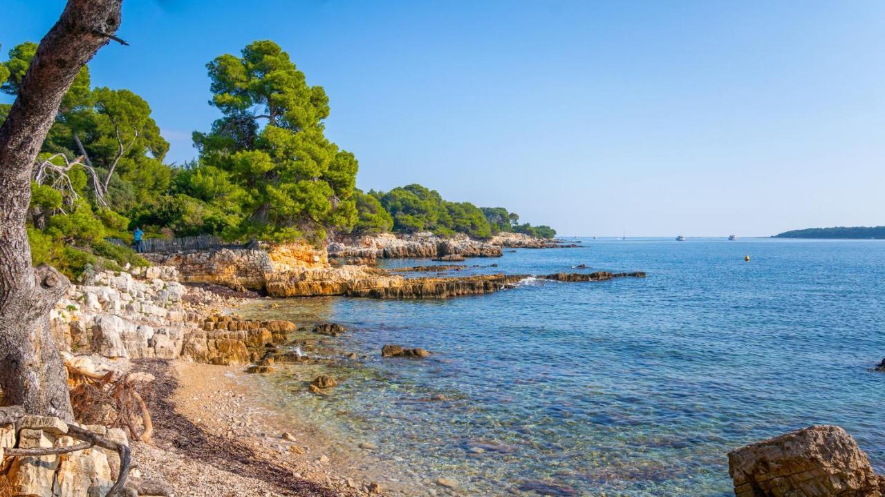 Rez-De-Villa Mougins Eksteriør bilde