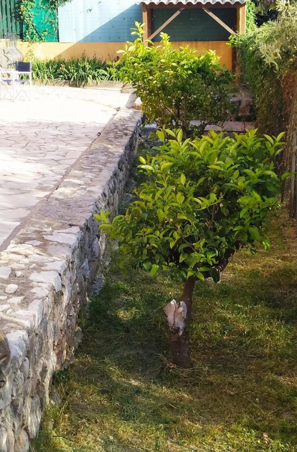 Rez-De-Villa Mougins Eksteriør bilde